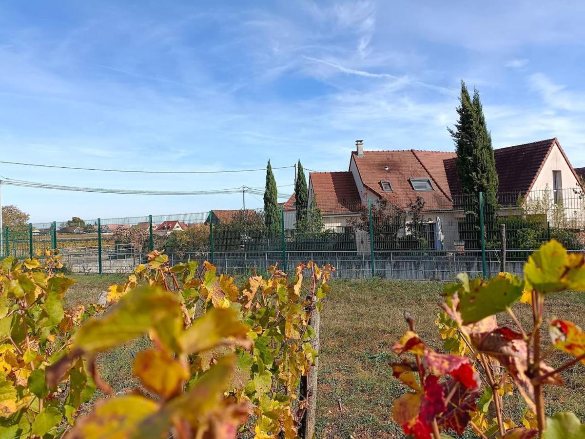 Villa Des Climats Bourgogne Marsannay-la-Côte Esterno foto